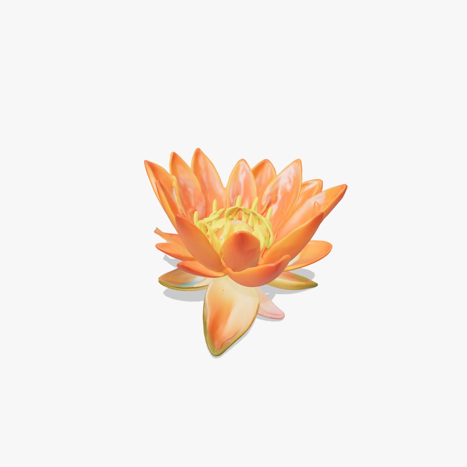 Vibrant Lotus Blossom model pack